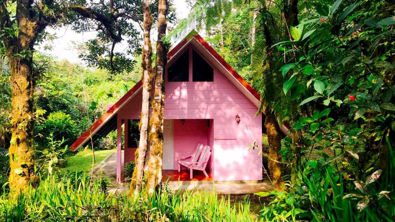 Cabanas Las Orquideas Zapotal  Exterior photo