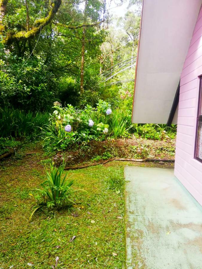 Cabanas Las Orquideas Zapotal  Exterior photo